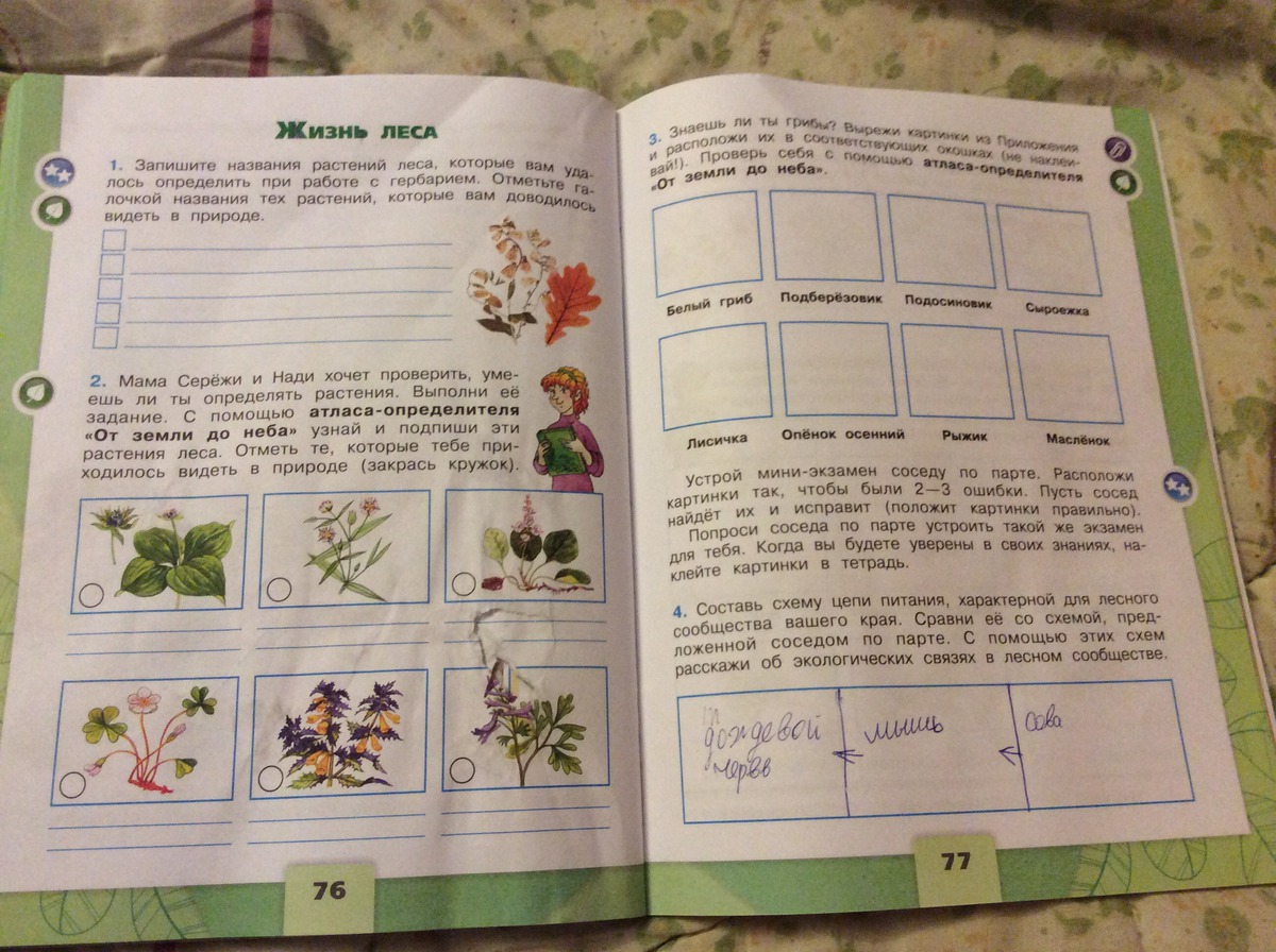 Четвертый класс рабочая тетрадь страница 68. Запишите названия растений леса. Запиши названия растений леса которые. Жизнь леса рабочая тетрадь. Запишите названия растений леса которые вам.