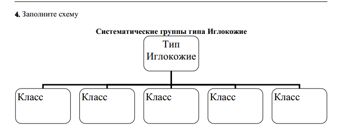 Систематические группы схема
