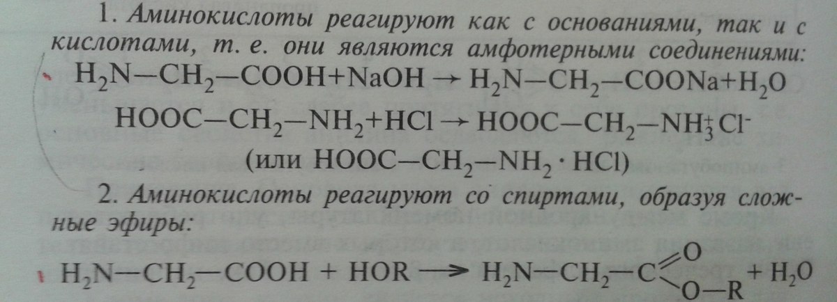 Почему аминокислоты амфотерные. Как доказать Амфотерность уравнениями реакций. Реакции доказывающие Амфотерность аланина. Уравнения реакций кислот. Составьте уравнение реакции бутановая кислота.