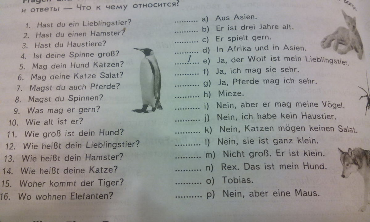 Alt er ist. Животные на немецком языке 5 класс. Рассказ на немецком языке. Проект Mein Lieblingstier. Hast du ein Lieblingstier ответы.